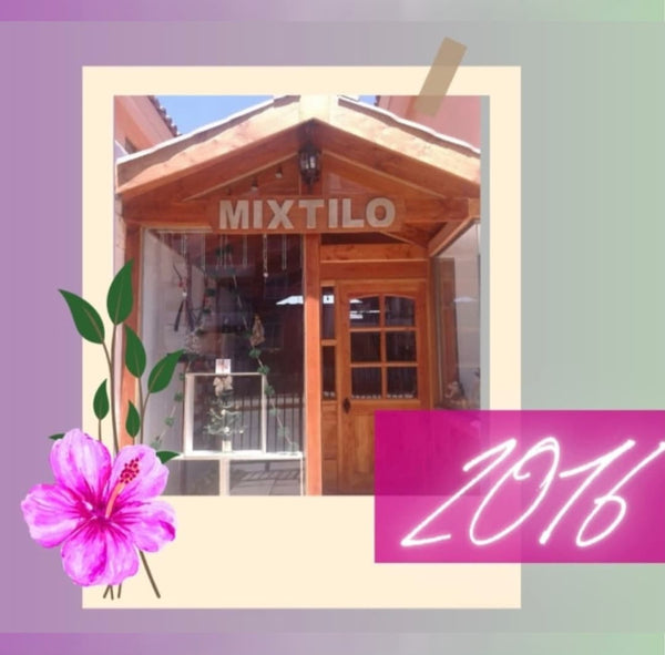 Fachada Mixtilo 2016